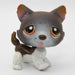 Littlest Petshop Husky koira #174 - Second hand