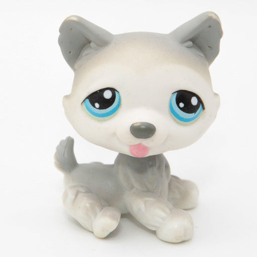 Littlest Petshop Husky koira #70 - Elli