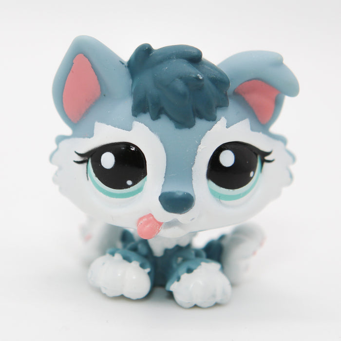 Littlest Petshop Husky pentu #2036