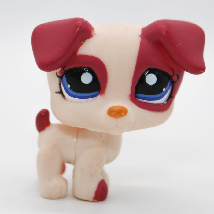 Littlest Petshop Jack Russell #1200