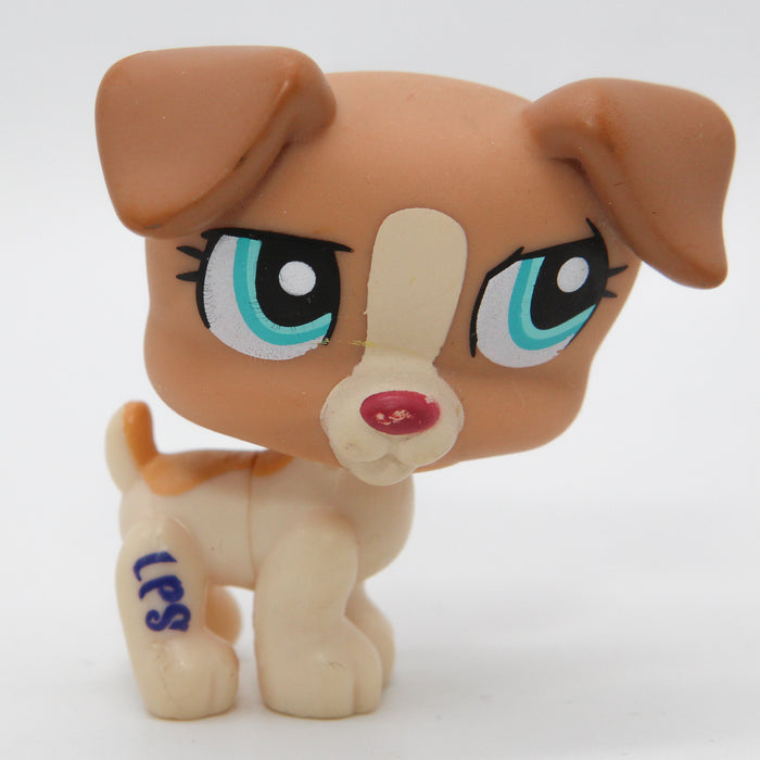 Littlest Petshop Jack Russell #1302