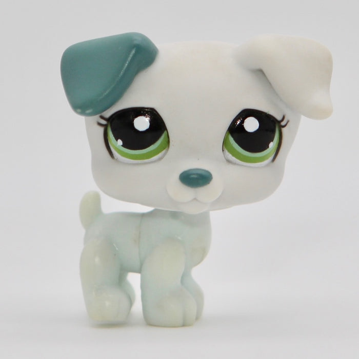 Littlest Petshop Jack Russell #1426