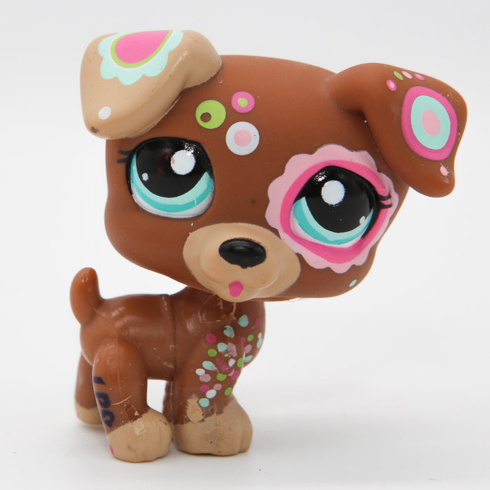 Littlest Petshop Jack Russell koira #1579