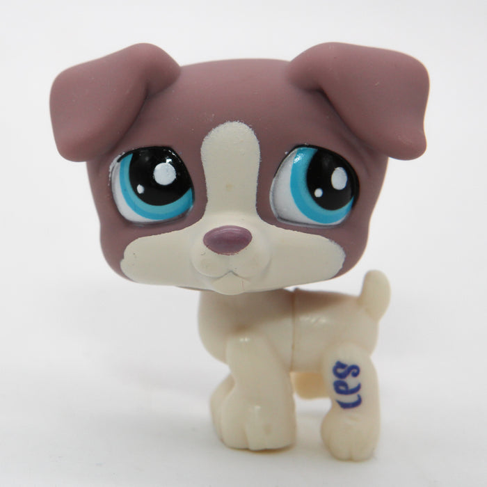 Littlest Petshop Jack Russell #2189