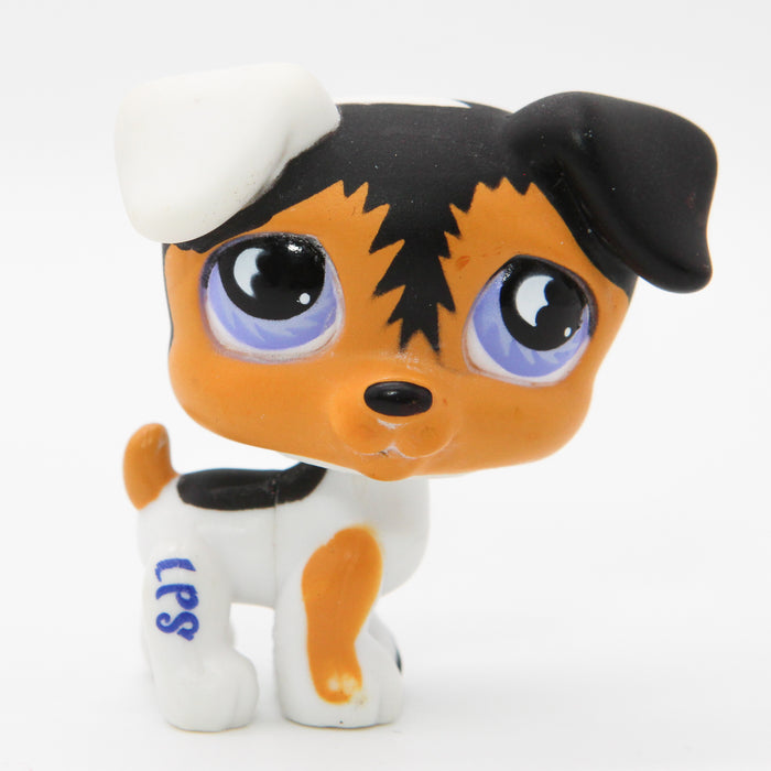 Littlest Petshop Jack Russell koira #803