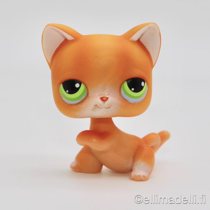 Littlest Petshop Kissa #11