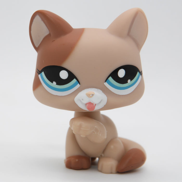 Littlest Petshop Kissa #1363