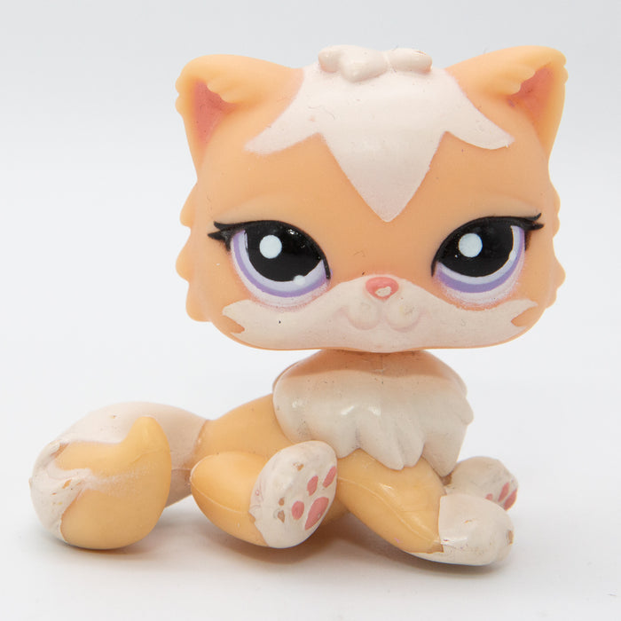 Littlest Petshop Kissa #1657