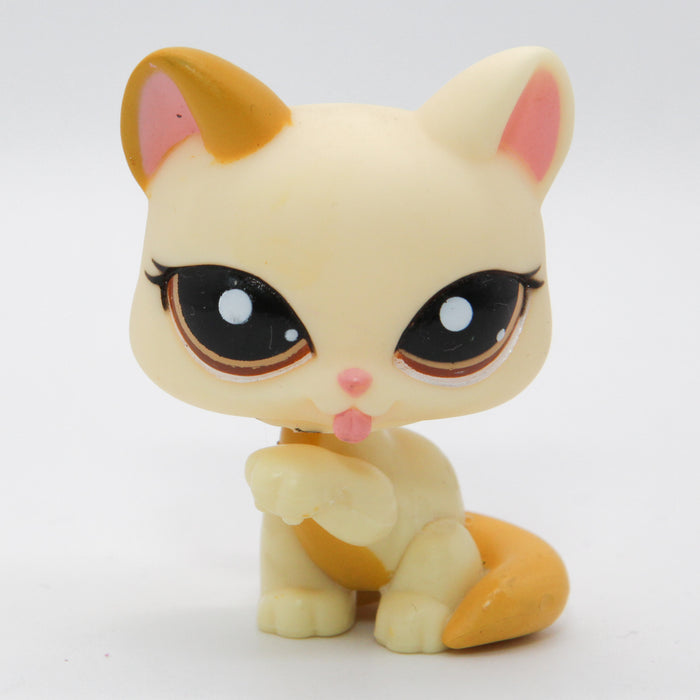 Littlest Petshop Kissa #1692