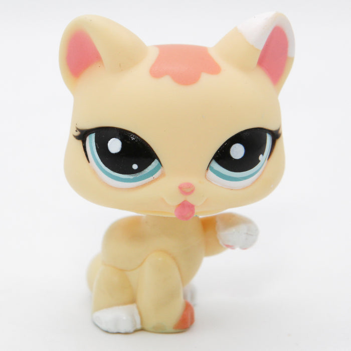 Littlest Petshop Kissa #1821