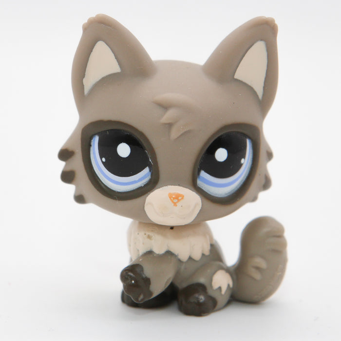 Littlest Petshop Kissa #1953