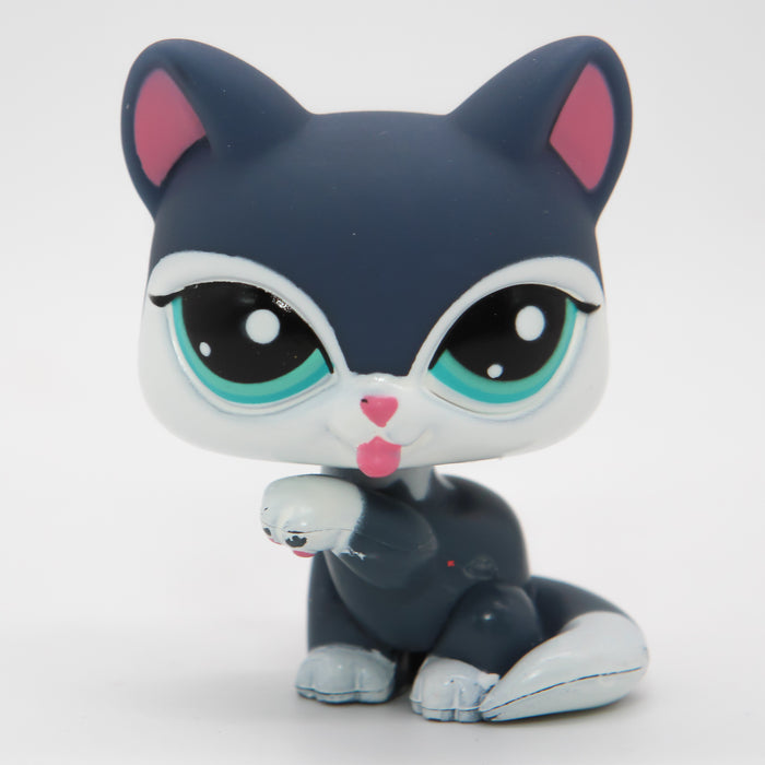 Littlest Petshop Kissa #2204