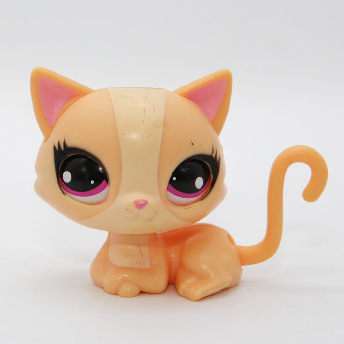 Littlest Petshop Kissa #3360