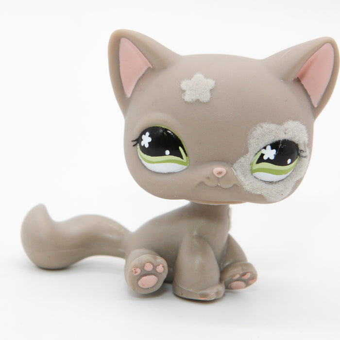 Littlest Petshop Kissa #467