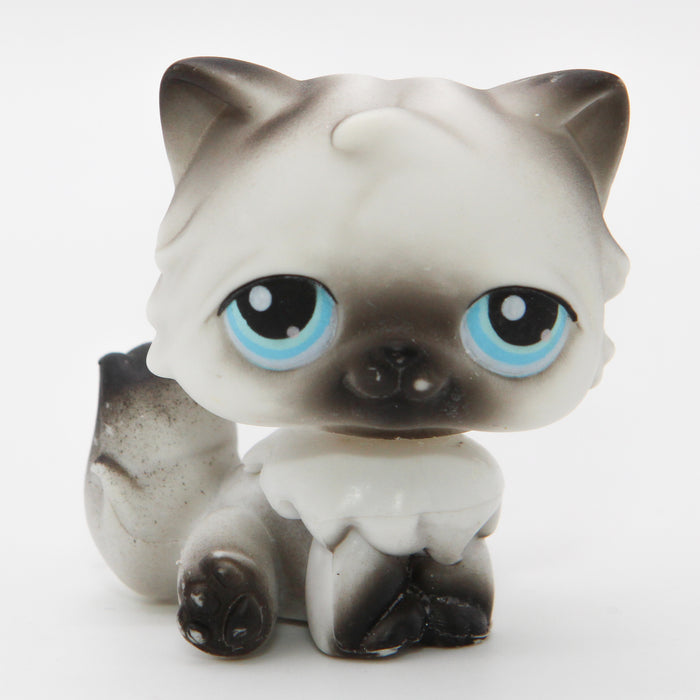 Littlest Petshop Kissa #60