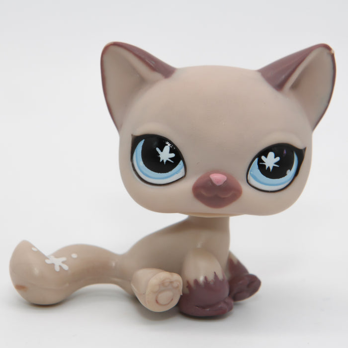 Littlest Petshop Kissa #664