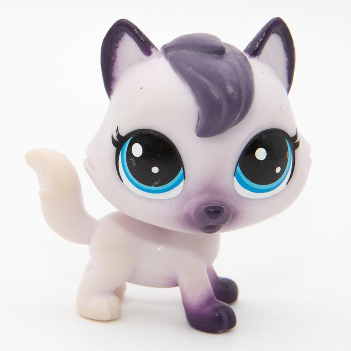 Littlest Petshop Kissa #66 - Elli