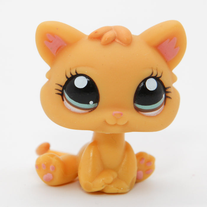 Littlest Petshop Kissa pentu #1053