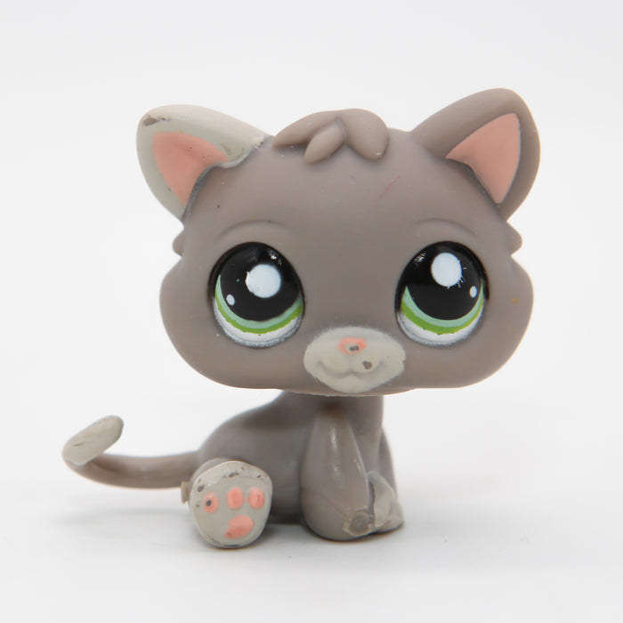 Littlest Petshop Kissa pentu #1607