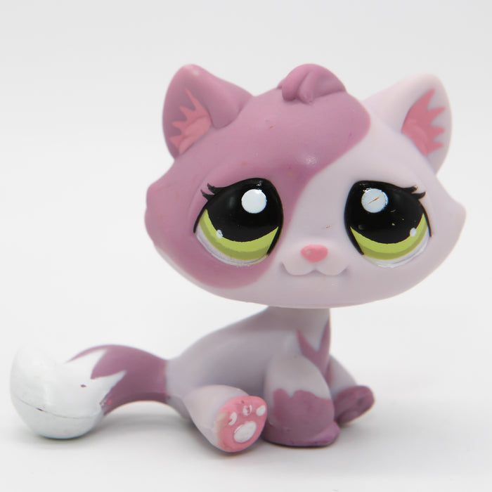 Littlest Petshop Kissa pentu #1660