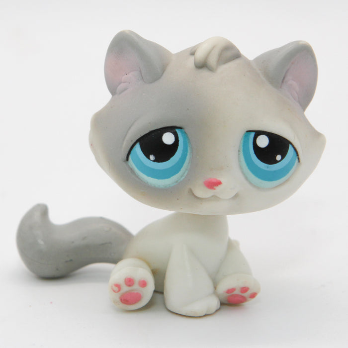 Littlest Petshop Kissa pentu #310