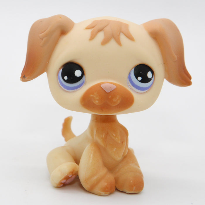 Littlest Petshop Kultainen noutaja #286