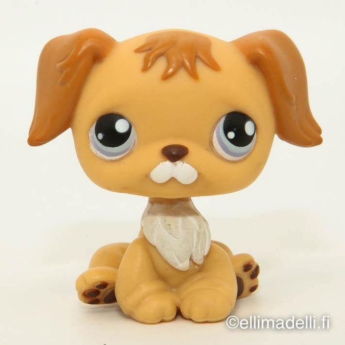 Littlest Petshop Kultainen noutaja #368 - Elli