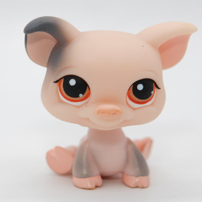 Littlest Petshop Possu #259