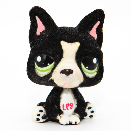 Littlest Petshop Ranskan Bulldog koira #978 - Elli