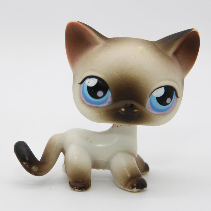 Littlest Petshop Siamilainen Kissa #5