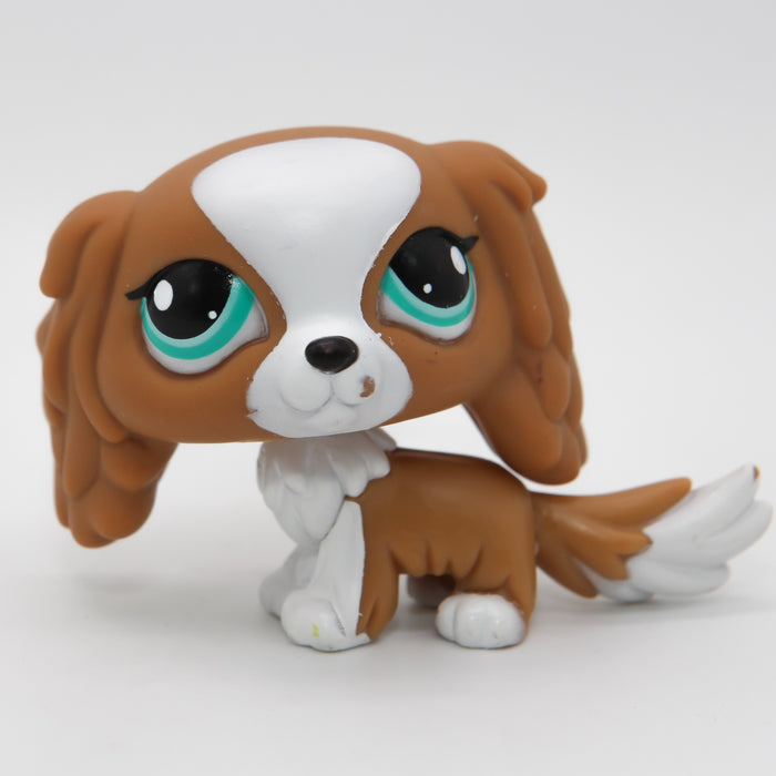 Littlest Petshop Spanieli #1825