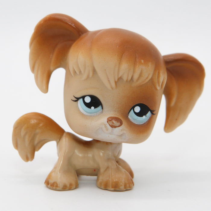 Littlest Petshop Spanieli koira #200