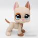 Littlest Petshop Tanskandog #1647 - Elli