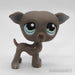 Littlest Petshop Vinttikoira #319 - Elli