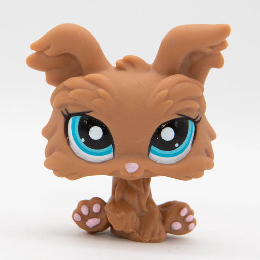 Littlest Petshop Yorkshiren terrieri #2004 - Elli