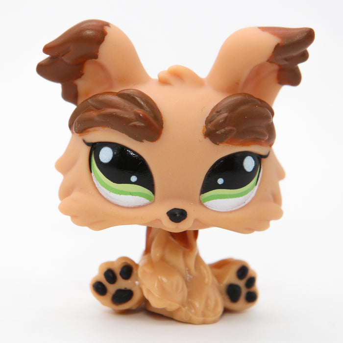 Littlest Petshop Yorkshiren terrieri #1016