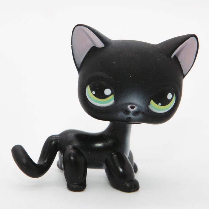 Littlest Petshop seisova Kissa #337