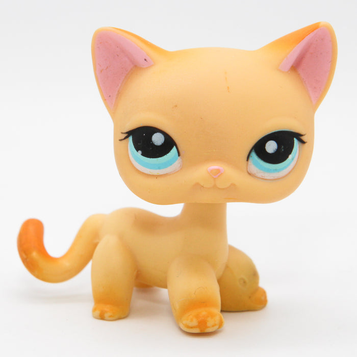 Littlest Petshop seisova Kissa #339