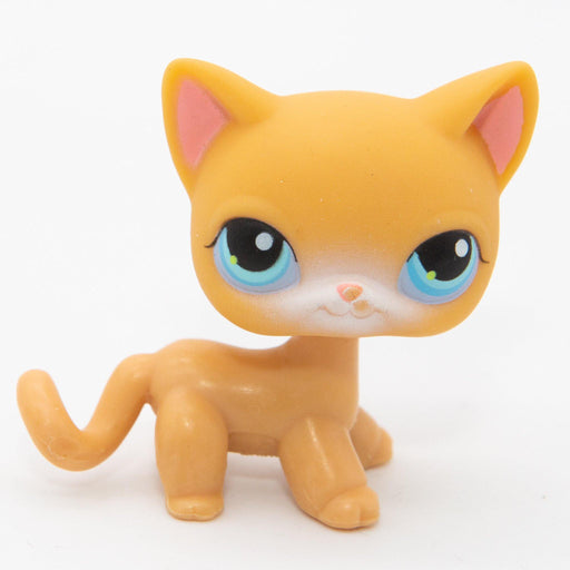 Littlest Petshop seisova Kissa #71 - Elli