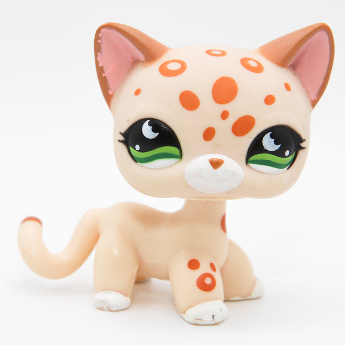 Littlest Petshop seisova Kissa #852