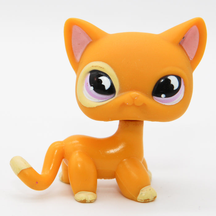 Littlest Petshop seisova Kissa #855