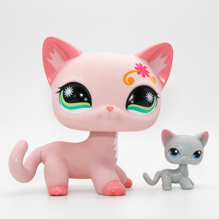 Littlest Petshop jätti Kissa #no