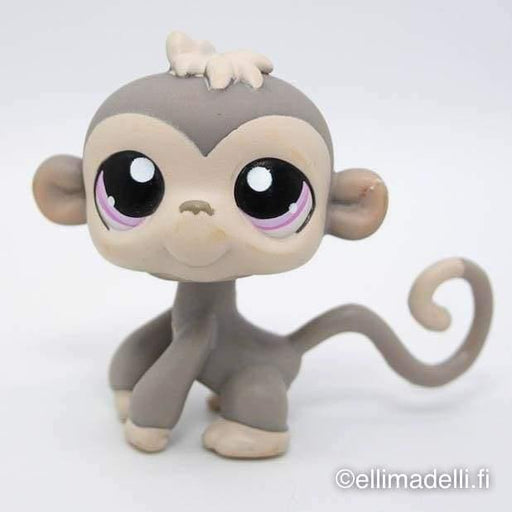 Littlest Petshop Apina #1029 - Littlest Petshop