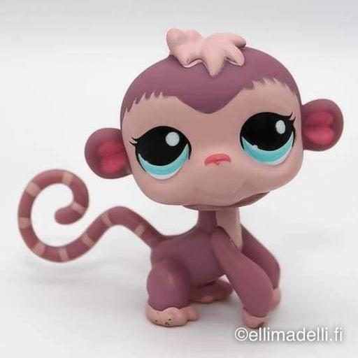 Littlest Petshop Apina #1644 - Littlest Petshop