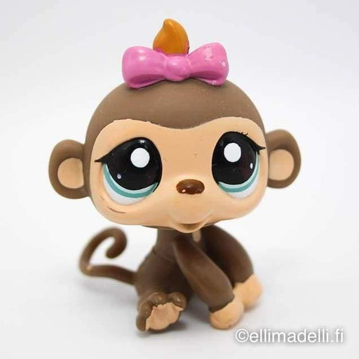 Littlest Petshop Apina #1936 - Littlest Petshop