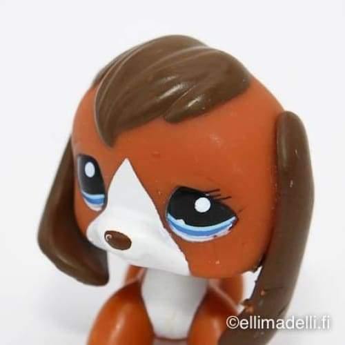 Littlest Petshop Beagle koira #1104 - Littlest Petshop