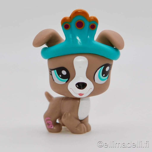 Littlest Petshop Bokseri #1463 - Littlest Petshop