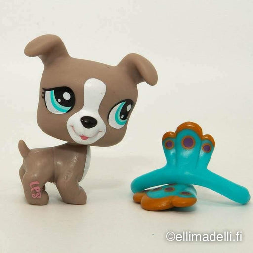 Littlest Petshop Bokseri #1463 - Littlest Petshop