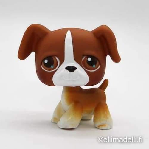 Littlest Petshop Bokseri #25 - Littlest Petshop