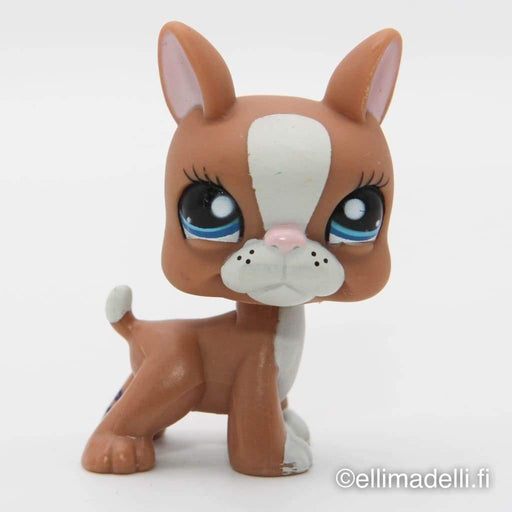 Littlest Petshop Bostonin terrieri #1380 - Littlest Petshop